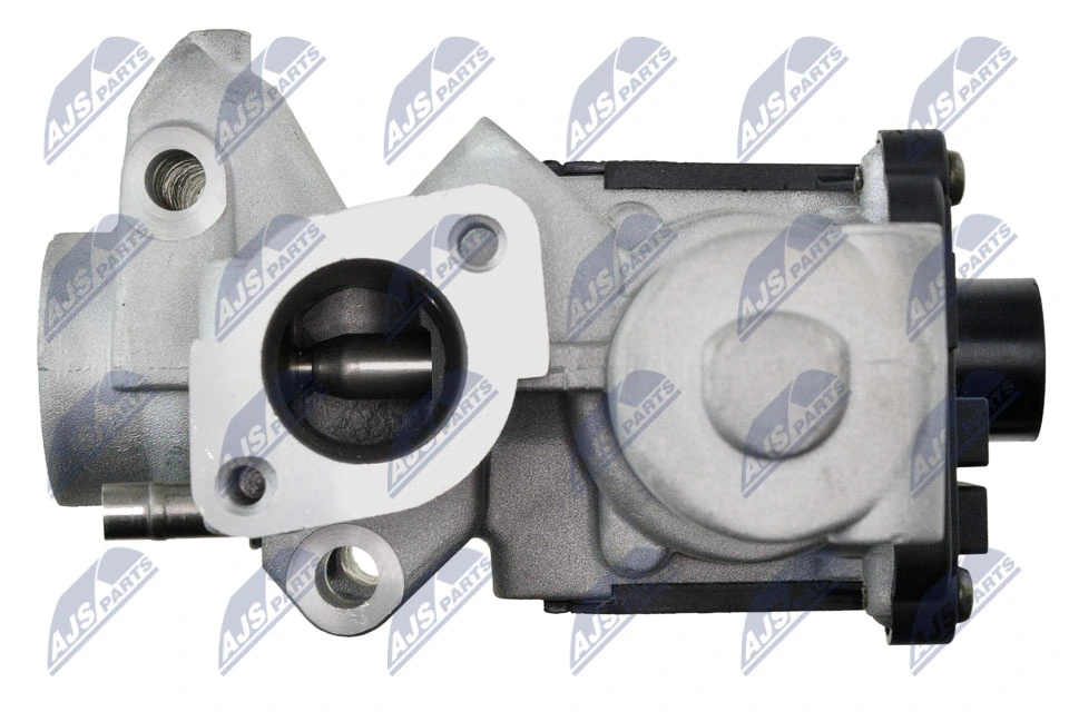 EGR Valve EGR-AU-018