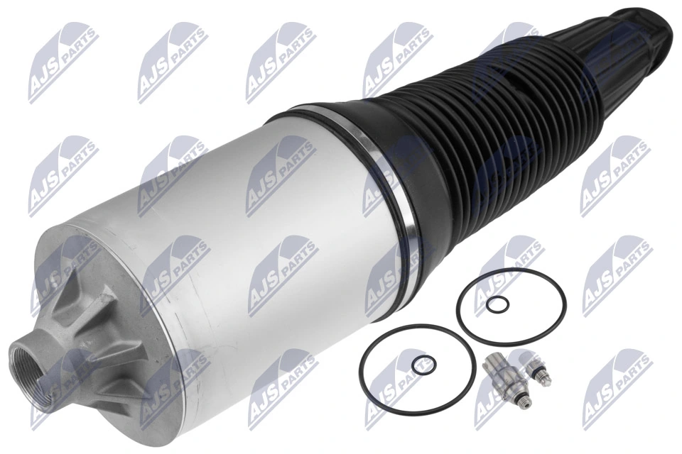 Air Suspension Strut EZC-AU-248
