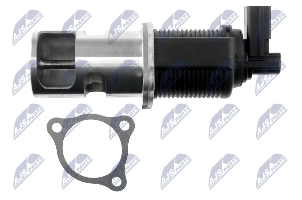 EGR Valve EGR-NS-001