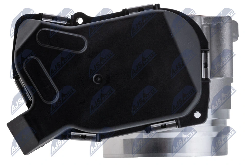 Throttle Body ETB-BM-010