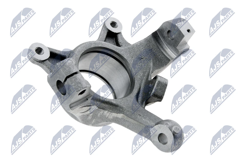 Steering Knuckle, wheel suspension ZZP-PL-001