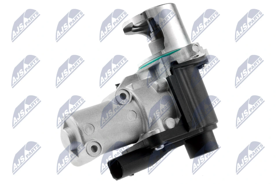 EGR Valve EGR-VW-006