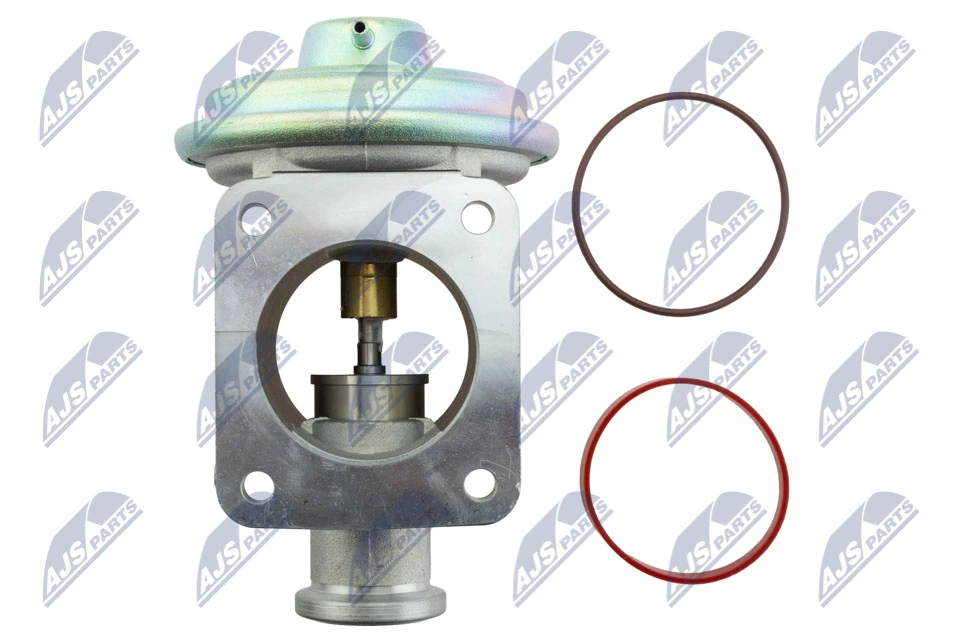 NTY EGR-BM-007 EGR Valve