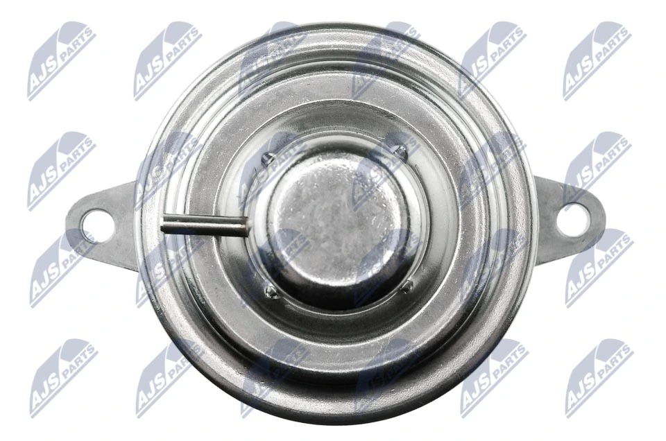 EGR Valve EGR-PL-002