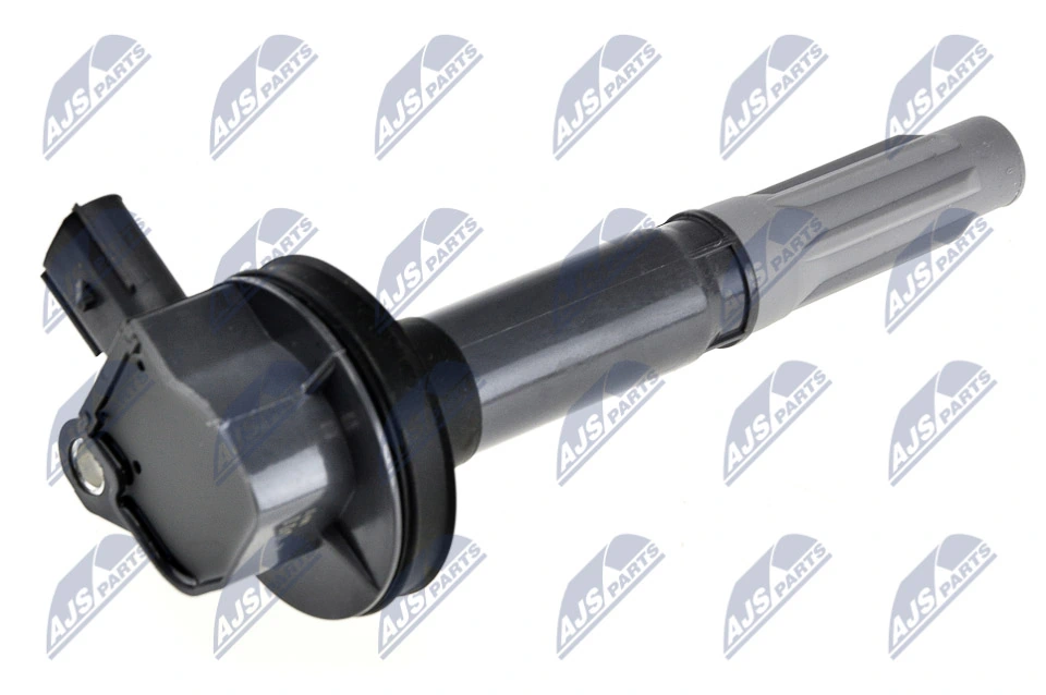 Ignition Coil ECZ-FR-011