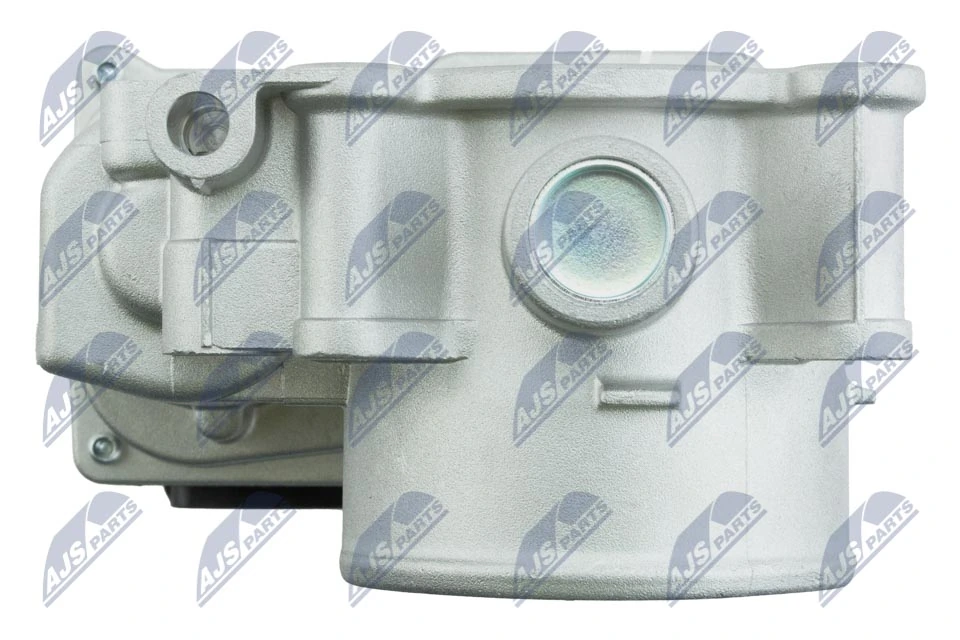 Throttle Body ETB-MS-000