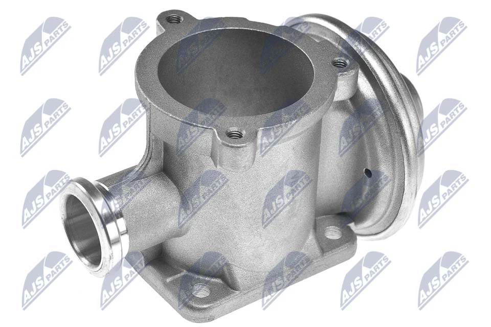 EGR Valve EGR-BM-001