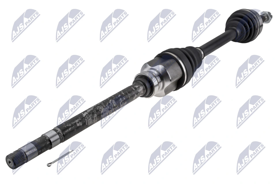 Aci Pacuan NPW-CT-152