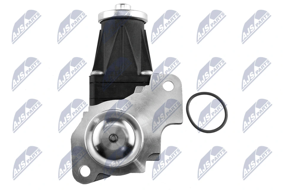 EGR Valve EGR-RE-007