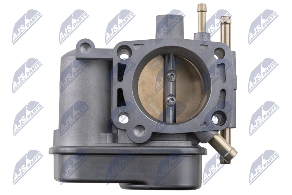 Throttle Body ETB-PL-009