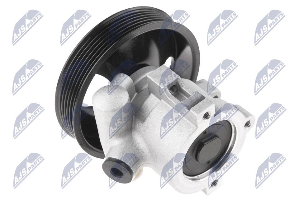 Hydraulic Pump, steering SPW-VV-006