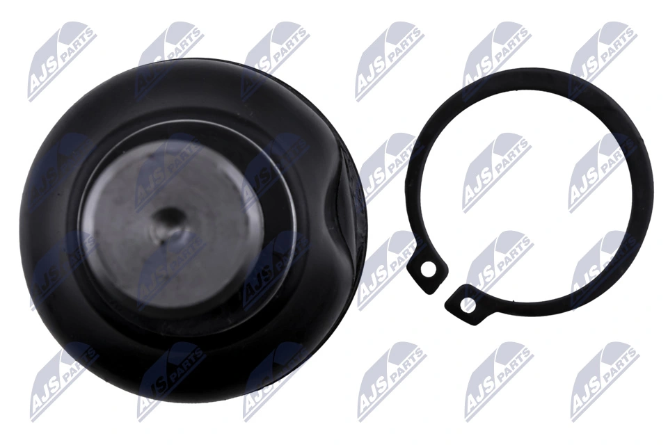 Ball Joint ZSD-NS-021