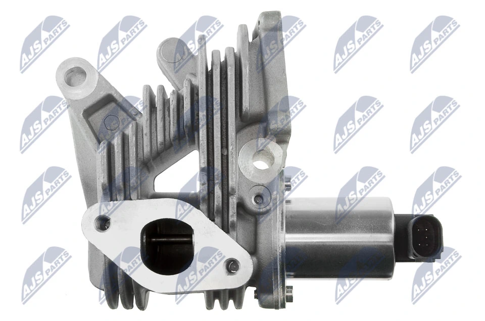EGR Valve EGR-RE-006