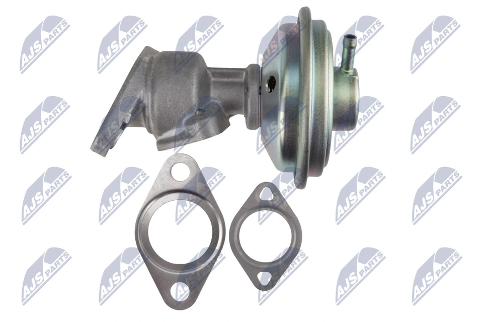 EGR Valve EGR-AU-041