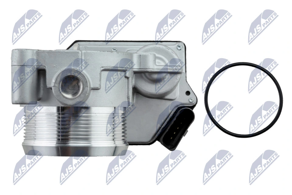 Throttle Body ETB-AU-008