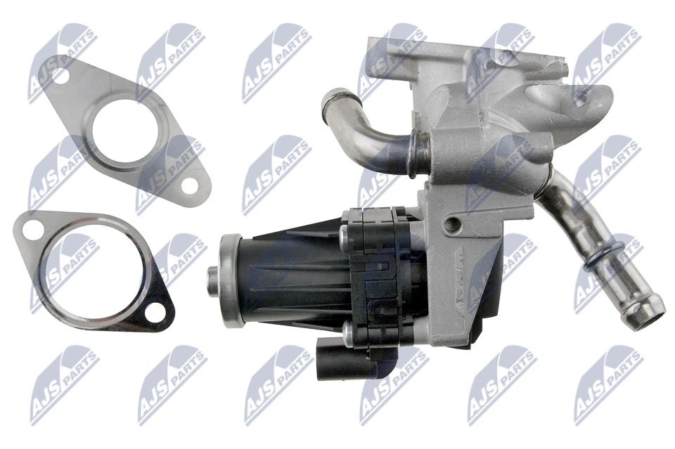EGR Valve EGR-FR-029