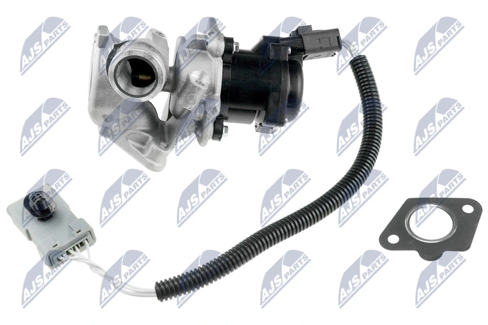 EGR Valve EGR-FR-001