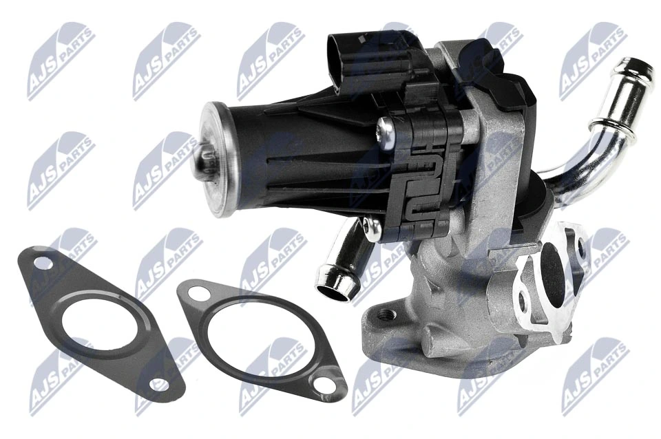 EGR Valve EGR-FR-006