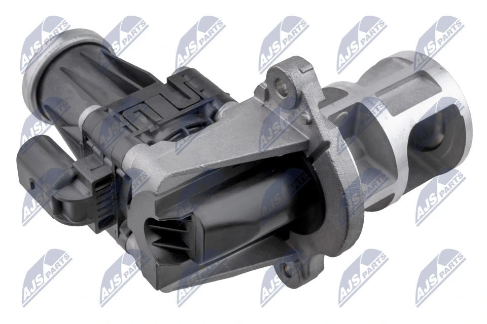 EGR Valve EGR-CH-015