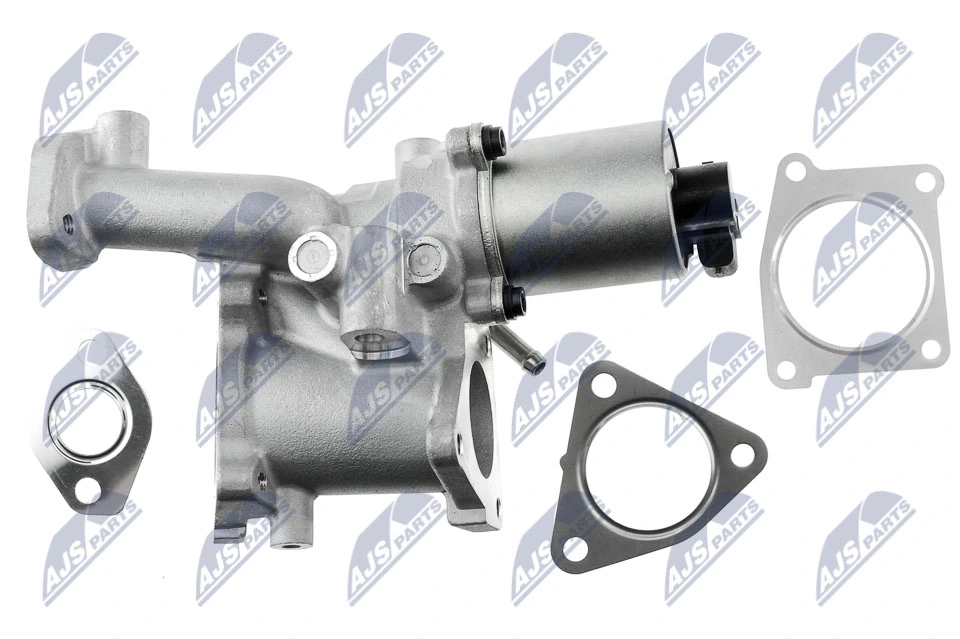 EGR Valve EGR-PL-017