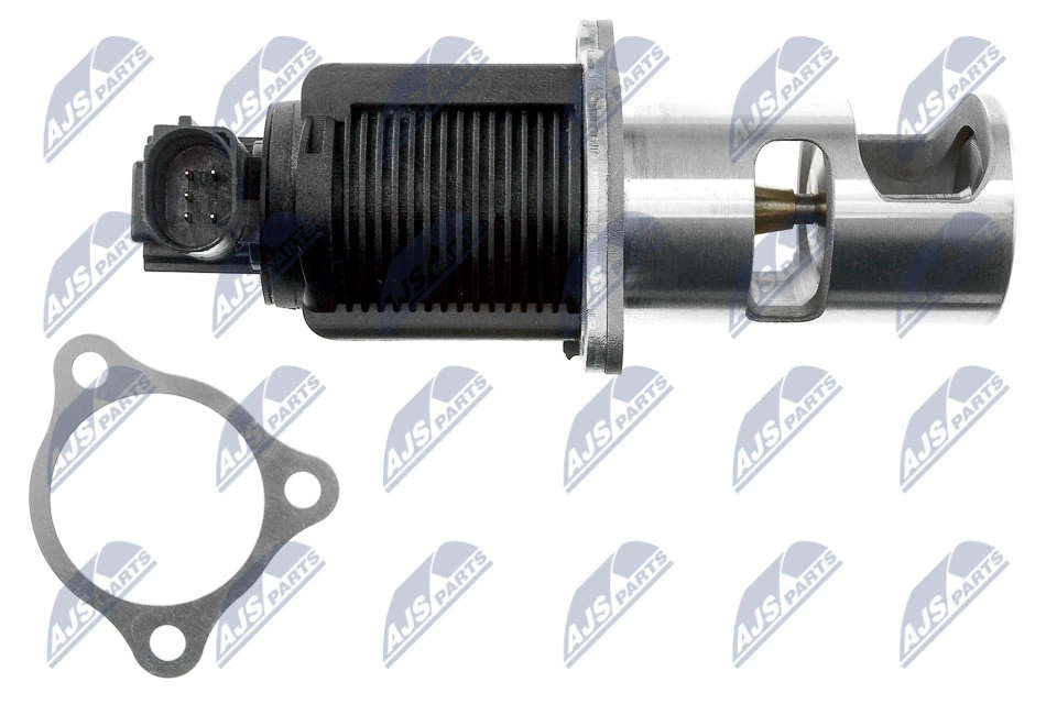 EGR Valve EGR-NS-001