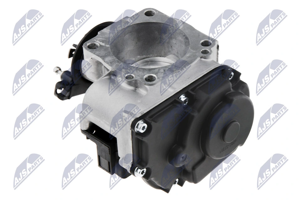Throttle Body ETB-VW-008