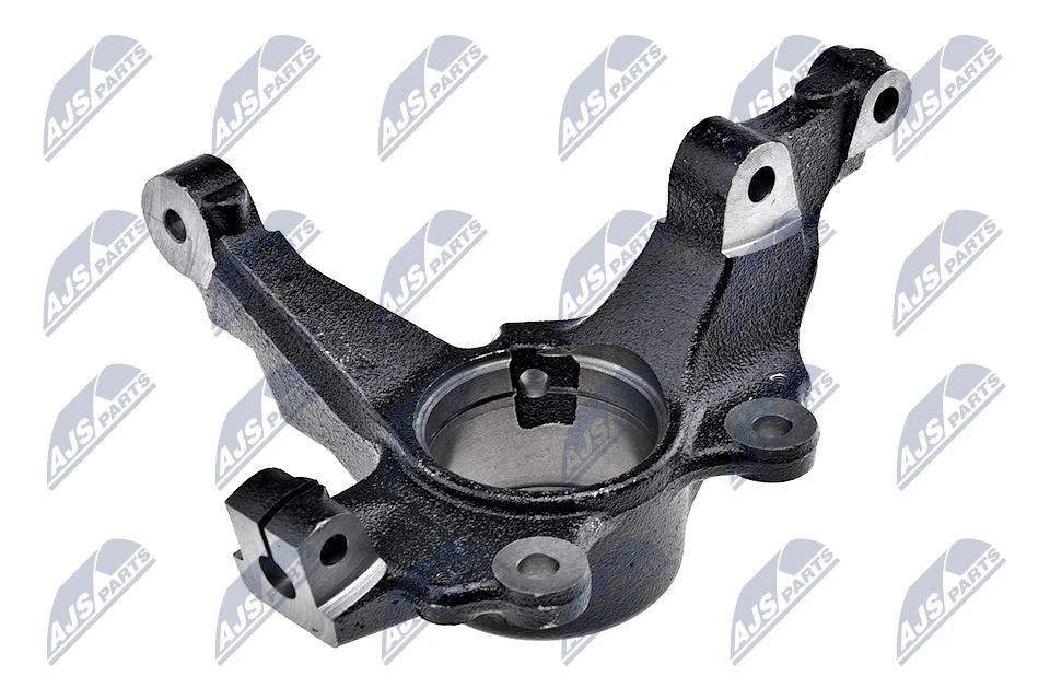 Steering Knuckle, wheel suspension ZZP-PL-010