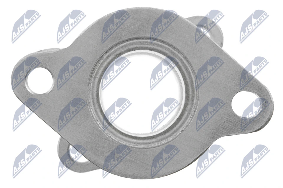 EGR Valve EGR-FT-011