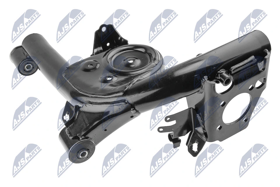 Control/Trailing Arm, wheel suspension ZWT-FT-001