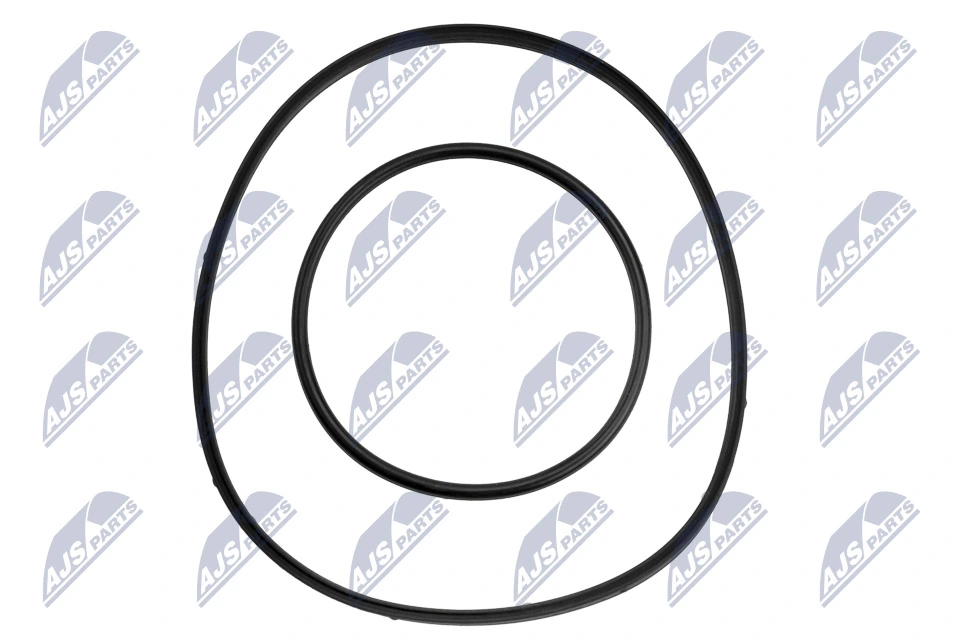 Seal Ring, nozzle holder PVP-BM-000