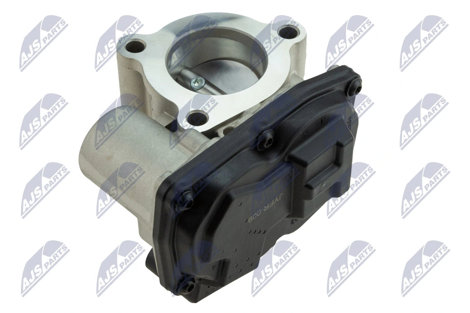 Throttle Body ETB-FR-009