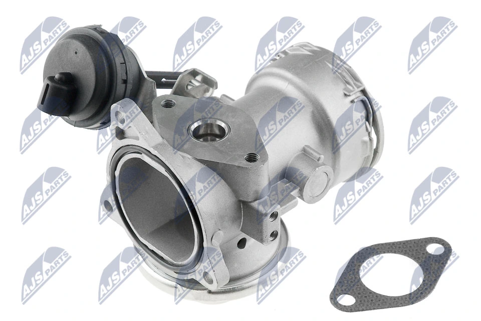 EGR Valve EGR-VW-011