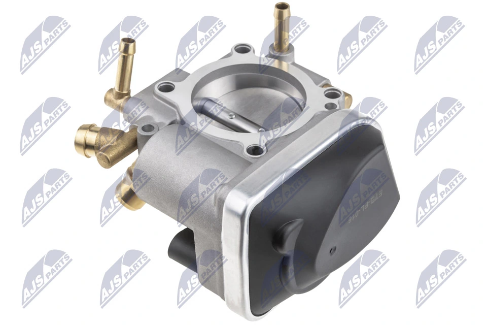 Throttle Body ETB-PL-016