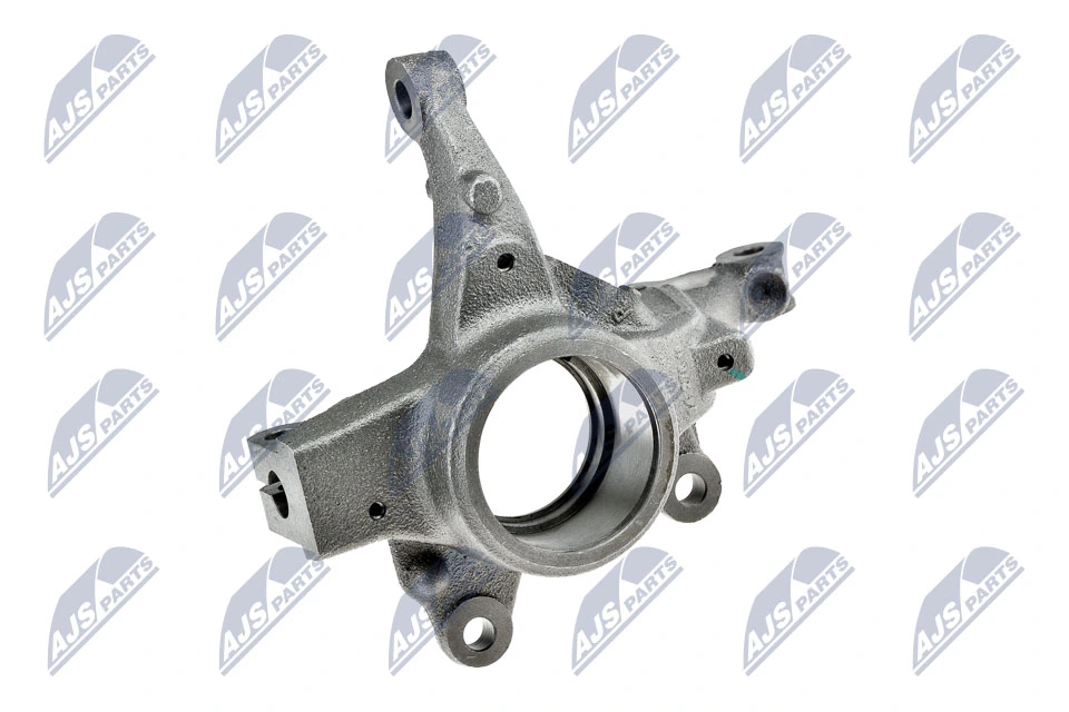 Steering Knuckle, wheel suspension ZZP-RE-021