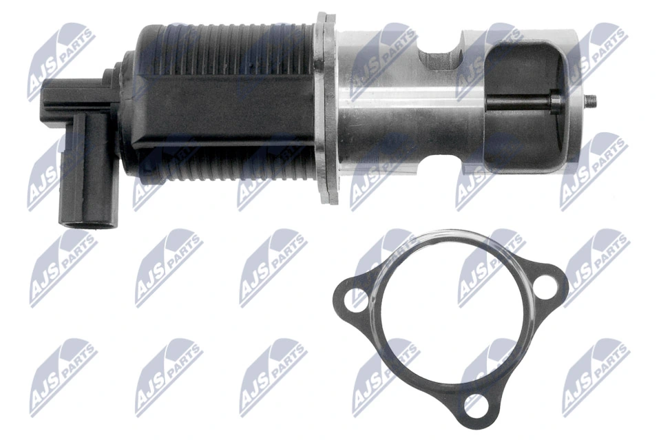EGR Valve EGR-PL-011