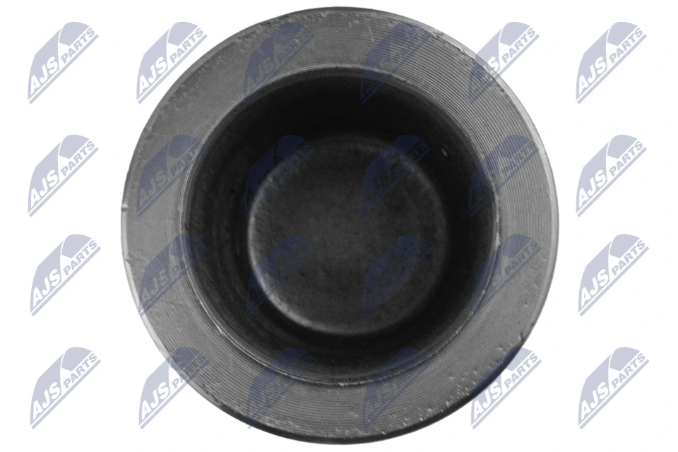 NTY HTZ-TY-026 Piston, brake caliper