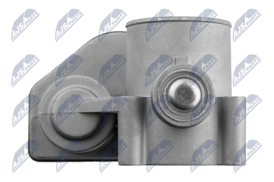Throttle Body ETB-FR-001