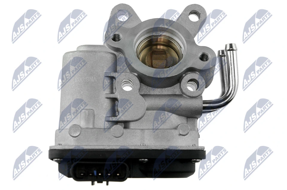 EGR Valve EGR-NS-003