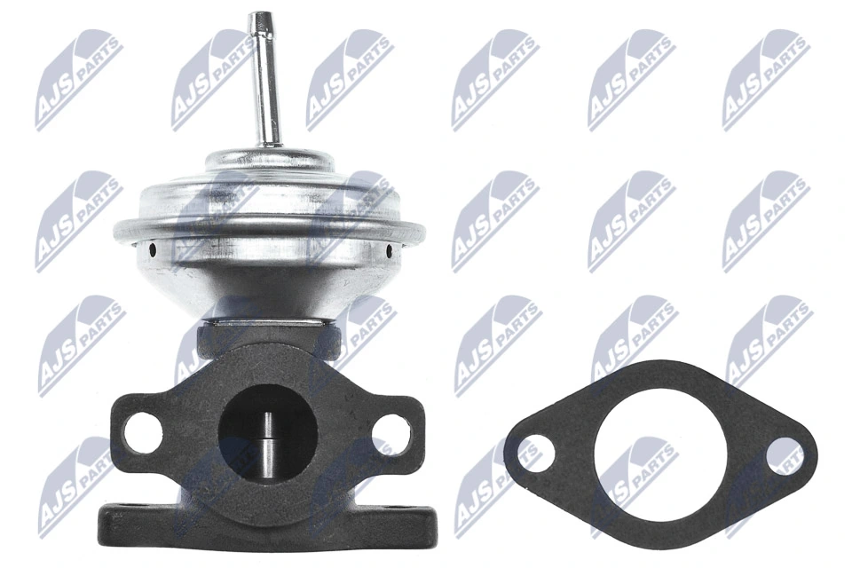 EGR Valve EGR-AU-013