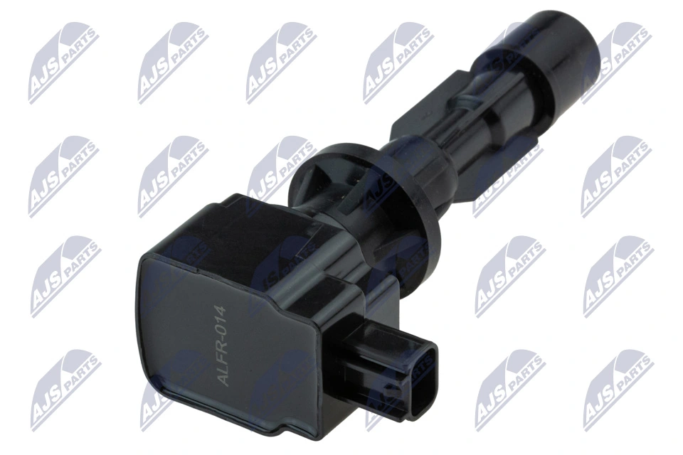 Ignition Coil ECZ-FR-014