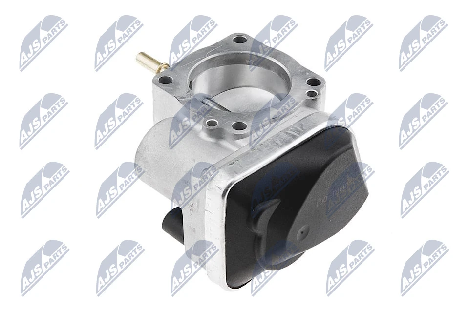 Throttle Body ETB-RE-001