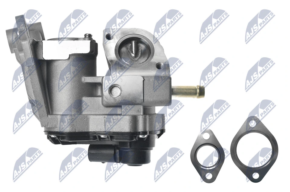 EGR Valve EGR-AU-011