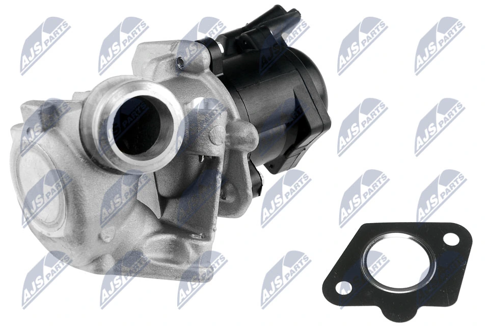 EGR Valve EGR-FR-001