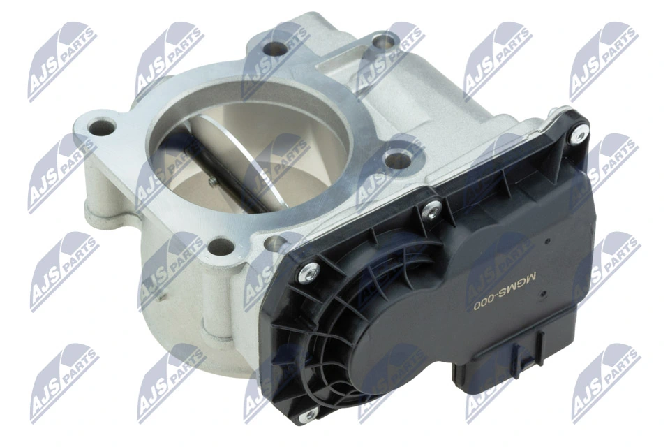 Throttle Body ETB-MS-000