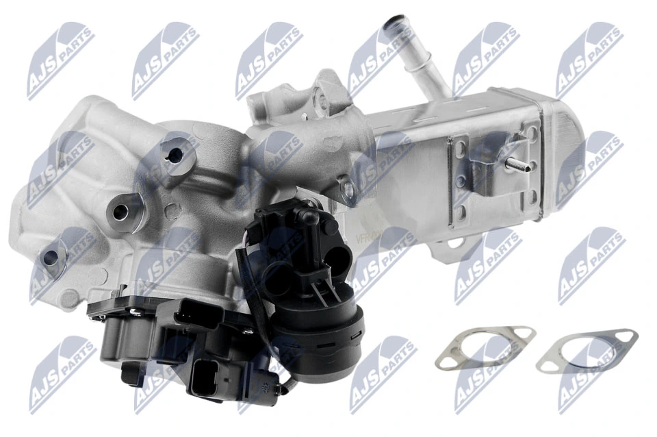 AGR 밸브 EGR-FR-009