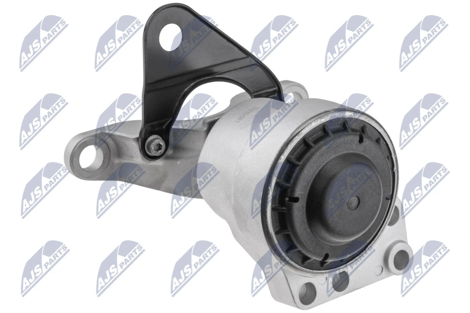 NTY ZPS-FR-081 Mounting, engine