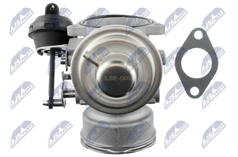 EGR Valve EGR-SE-000