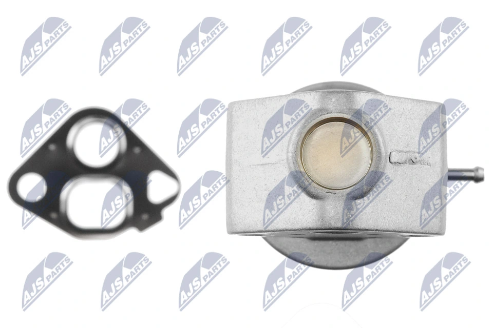 EGR Valve EGR-VW-001