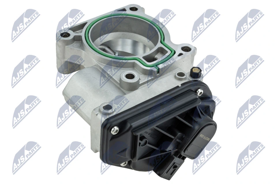 Throttle Body ETB-FR-004