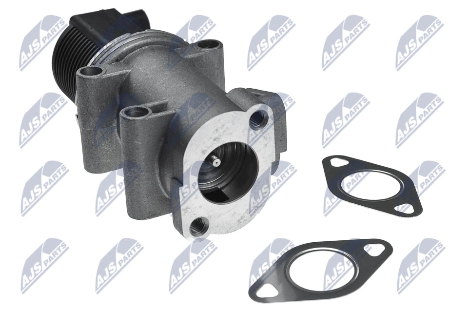EGR Valve EGR-AR-001